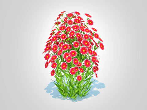 Aster novi-belgii - Dawrf Aster - red 3D Model
