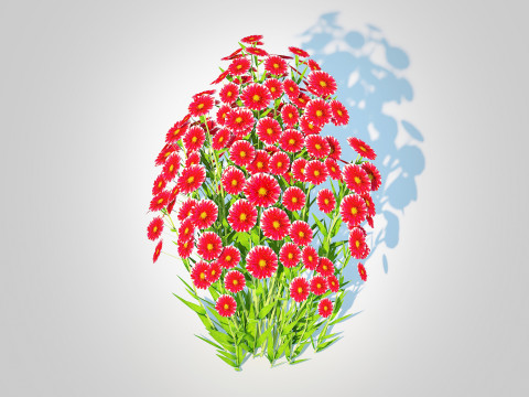 Aster novi-belgii - Dawrf Aster - red 3D मॉडल