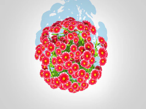 Aster novi-belgii - Dawrf Aster - red 3D Model