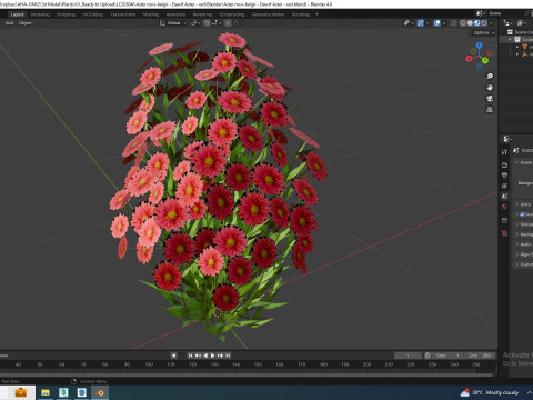Aster novi-belgii - Dawrf Aster - red 3D मॉडल