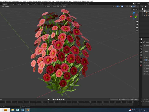 Aster novi-belgii - Dawrf Aster - red 3D Model