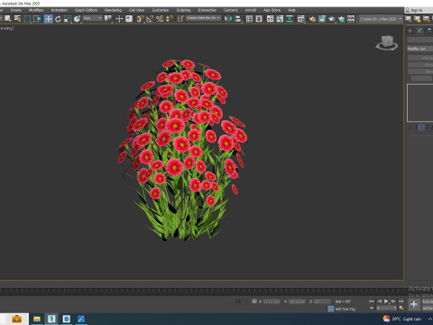 Aster novi-belgii - Dawrf Aster - red 3D मॉडल