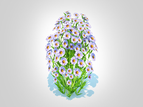 Aster novi-belgii - New York Aster - Blue 3Dモデル