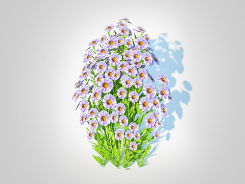 Aster novi-belgii - New York Aster - Blue 3Dモデル