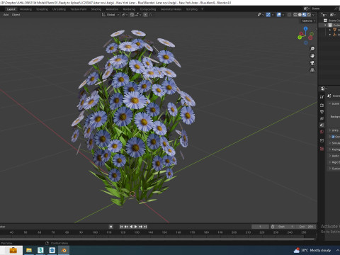 Aster novi-belgii - New York Aster - Blue 3Dモデル