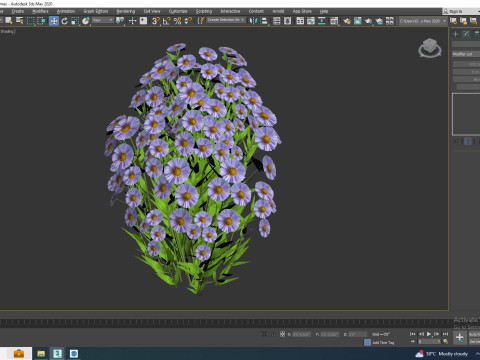 Aster novi-belgii - New York Aster - Blue 3Dモデル