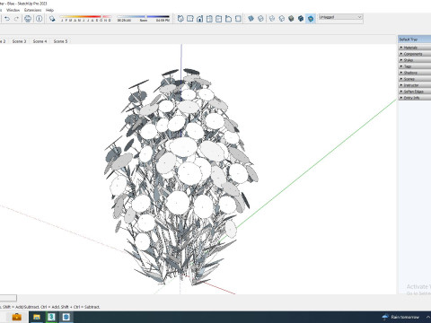 Aster novi-belgii - New York Aster - Blue 3Dモデル