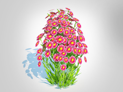 Aster novi-belgii - New York Aster - Red 3D Модель