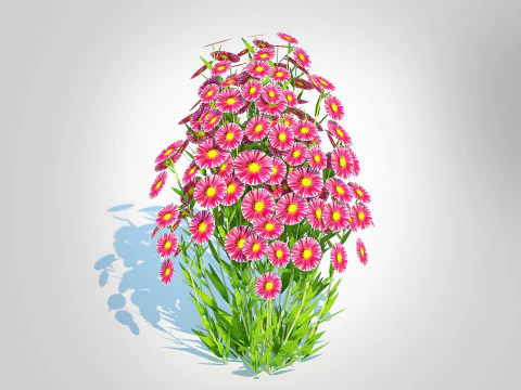Aster novi-belgii - New York Aster - Red 3D Model