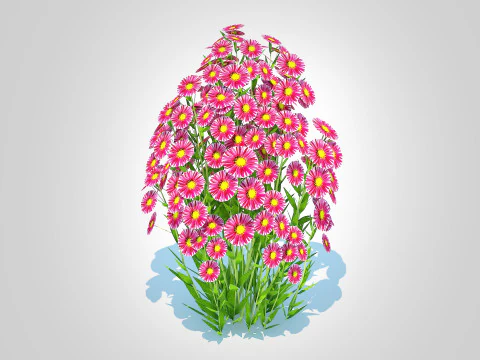Aster novi-belgii - New York Aster - Red 3D Model
