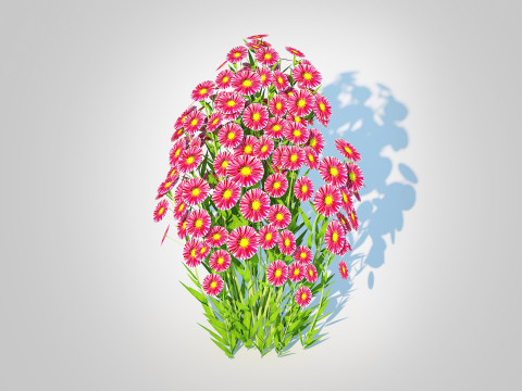 Aster novi-belgii - New York Aster - Red 3D Модель