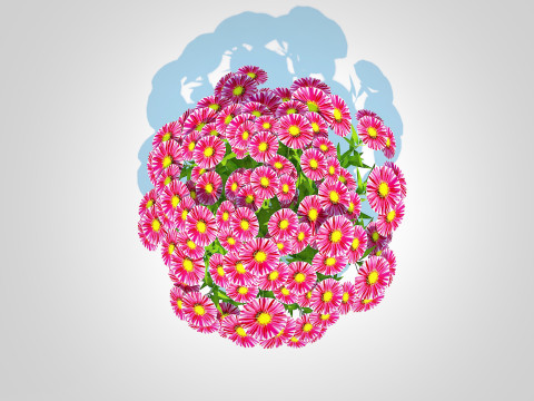 Aster novi-belgii - New York Aster - Red 3D Модель