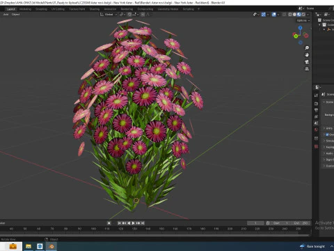 Aster novi-belgii - New York Aster - Red 3D Model