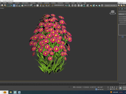 Aster novi-belgii - New York Aster - Red 3D Модель