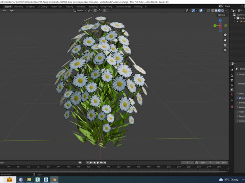 Aster novi-belgii - New York Aster - white 3D Model