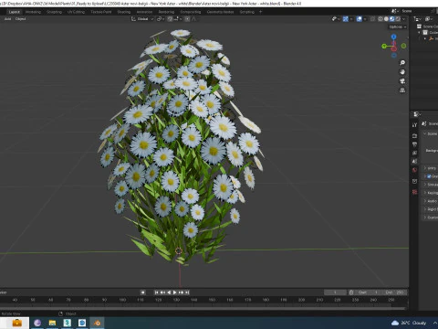 Aster novi-belgii - New York Aster - white 3D Model
