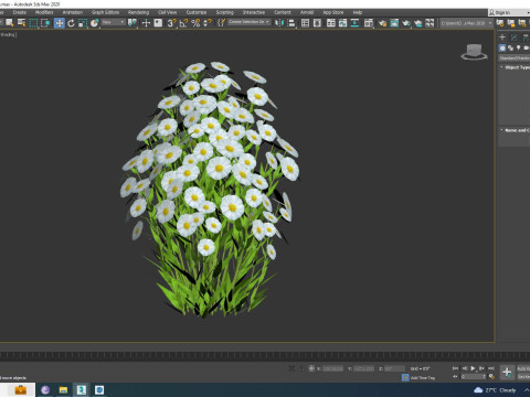 Aster novi-belgii - New York Aster - white 3D Model
