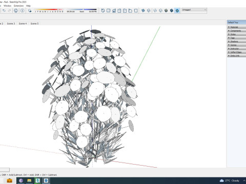 Aster novi-belgii - New York Aster - white 3D Model