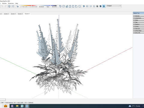 Astible chinensis - dwarf astilbe Model 3D