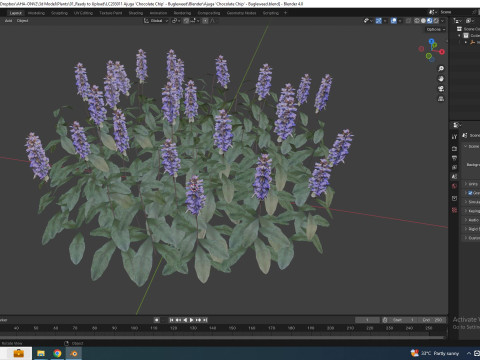 Ajuga Chocolate Chip - Bugleweed Model 3D