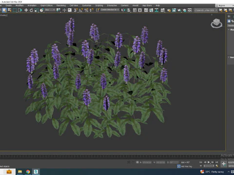 Ajuga Chocolate Chip - Bugleweed 3D Model