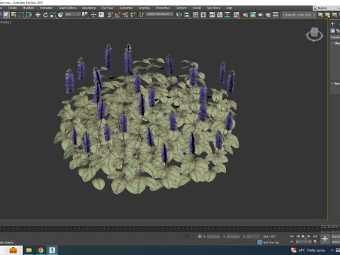 Ajuga reptans Burgundy Glow - Bugleweed Modelo 3D