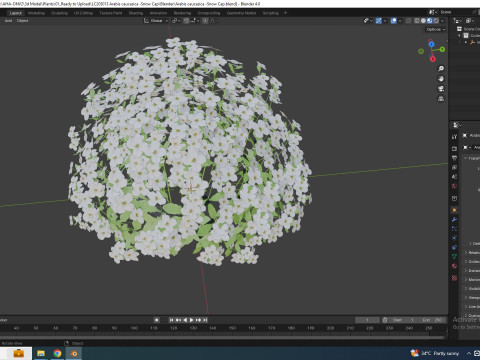 Arabis caucasica -Snow Cap Modelo 3D
