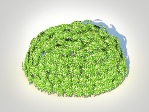 Artemesia schmidtiana - Silvermound Model 3D