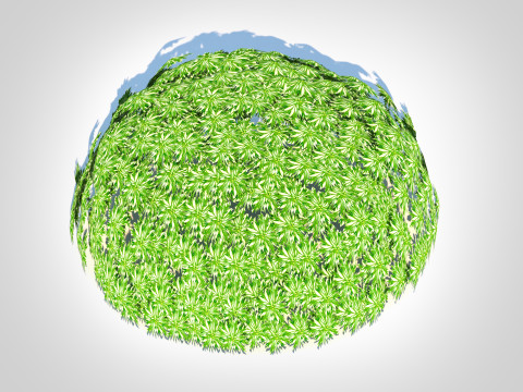 Artemesia schmidtiana - Silvermound Model 3D