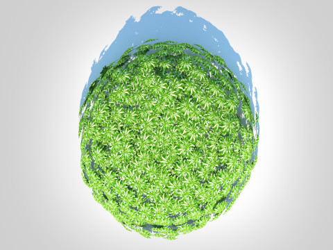 Artemesia schmidtiana - Silvermound Model 3D