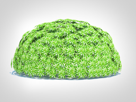 Artemesia schmidtiana - Silvermound Model 3D