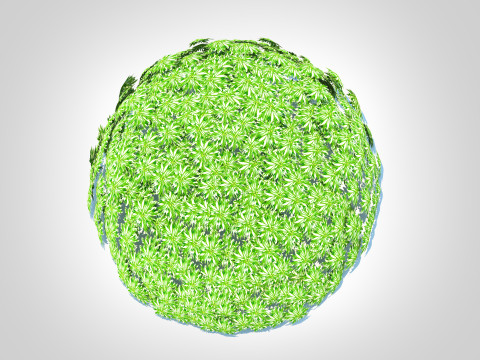 Artemesia schmidtiana - Silvermound Model 3D
