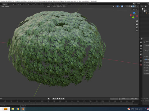 Artemesia schmidtiana - Silvermound Model 3D