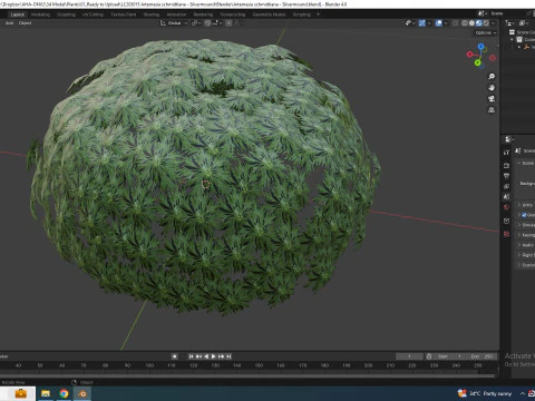 Artemesia schmidtiana - Silvermound 3D Model
