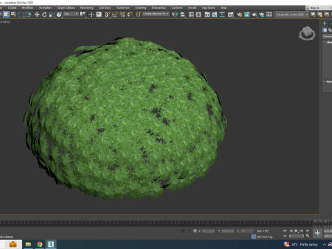 Artemesia schmidtiana - Silvermound Model 3D