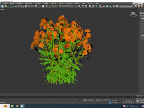 Asclepias tuberosa - Butterfly Weed 3D Model