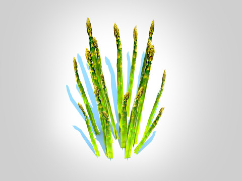 Asparagus 3D मॉडल