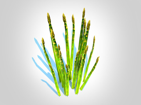 Asparagus 3D मॉडल
