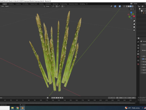 Asparagus 3D मॉडल