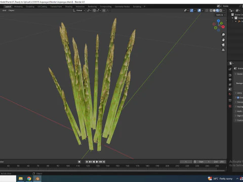 Asparagus 3D Model