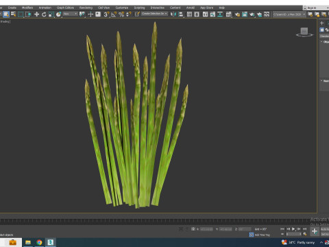 Asparagus 3D मॉडल