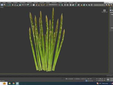 Asparagus 3D Model