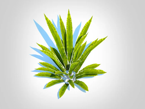 Asplenium scolopendrium - Harts-Tongue Fern 3D Model
