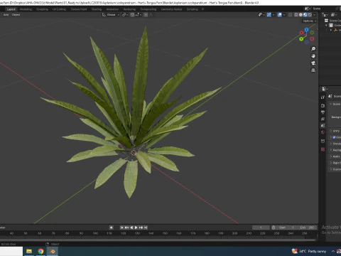 Asplenium scolopendrium - Harts-Tongue Fern 3D Model