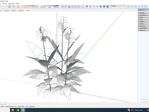 Canna-canna lilygeen-red 3D Model