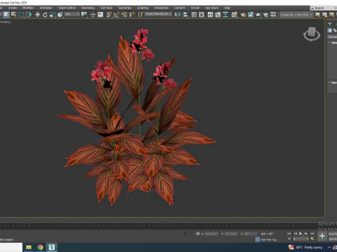 Canna - canna lily red-maroon 3D Model