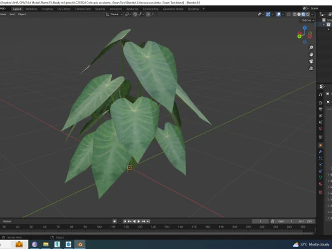 Colocasia esculenta -Green Taro 3D Model