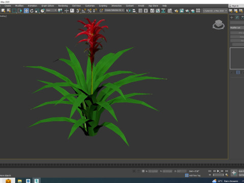 Guzmania - Bromeliad Modelo 3D
