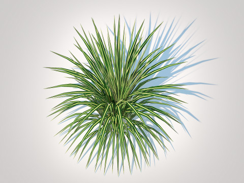Carex morrowii-sedge 3D Model