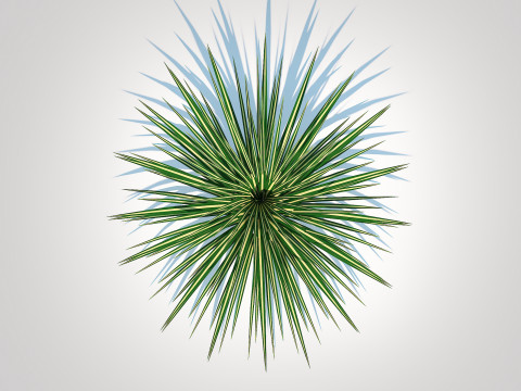 Carex morrowii-sedge 3D Model